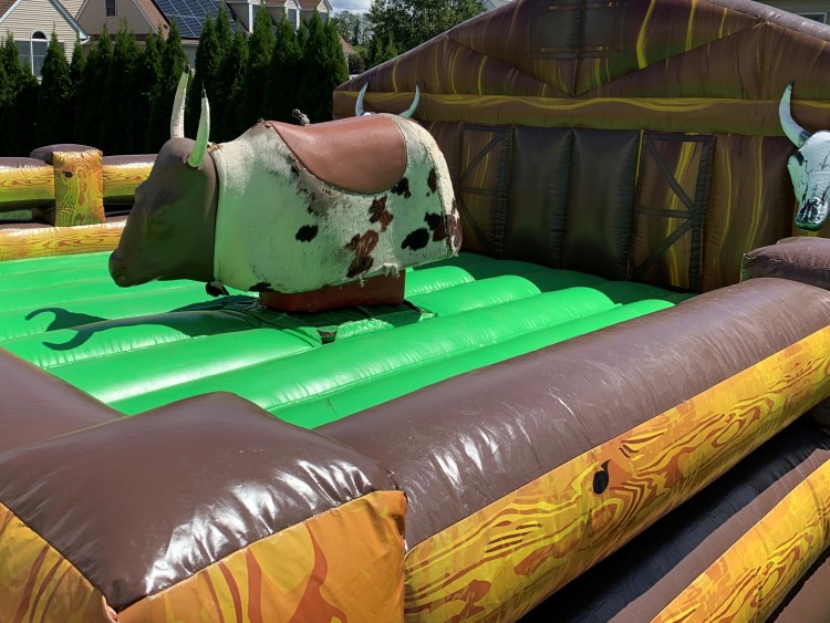 Mechanical Bull Image